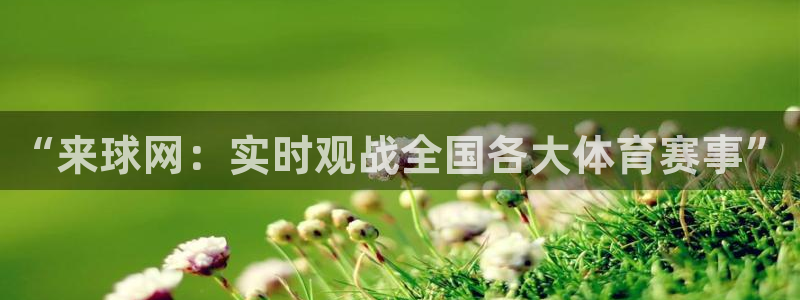 体育直播919：“来球网：实时观战全国各大体育赛事”