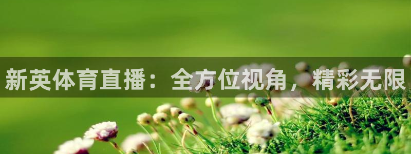 919体育直播平台：新英体育直播：全方位视角，精彩无限