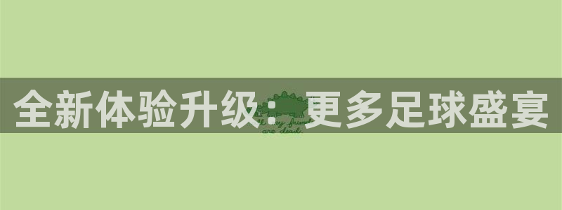 919直播平台：全新体验升级：更多足球盛宴