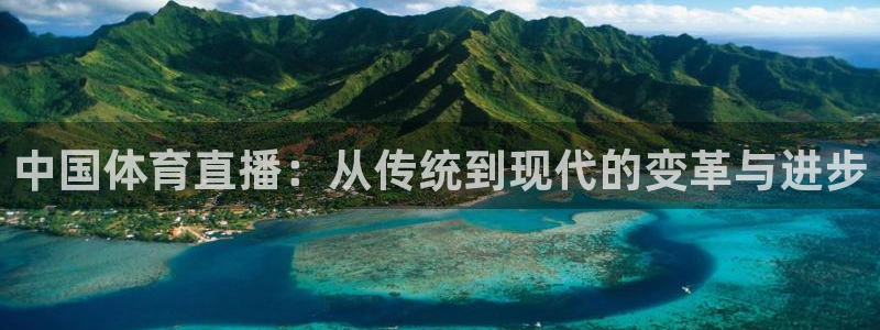 919看球软件：中国体育直播：从传统到现代的变革与进步