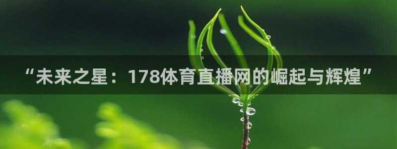 919直播平台官方网站：“未来之星：178体育直播网的崛起与辉煌”