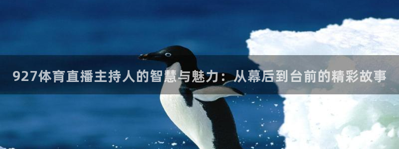 919体育直播平台在线观看：927体育直播主持人的智慧与魅力：从幕后到台前的精彩故事
