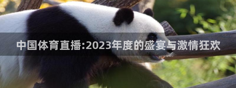 919直播平台官方网站：中国体育直播:2023年度的盛宴与激情狂欢