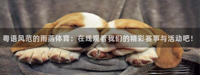 919看球直播：粤语风范的雨燕体育：在线观看我们的精彩赛事与活动吧！