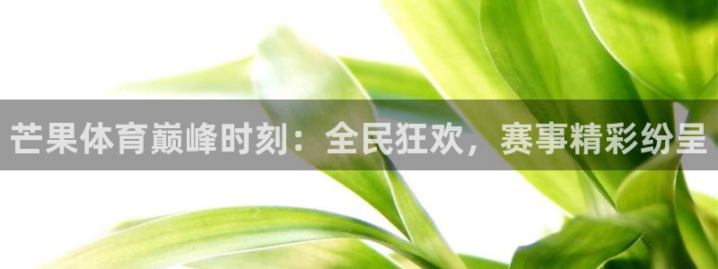 919体育直播苹果版：芒果体育巅峰时刻：全民狂欢，赛事精彩纷呈