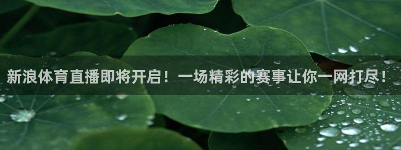 919体育nba直播安卓版：新浪体育直播即将开启！一场精彩的赛事让你一网打尽！
