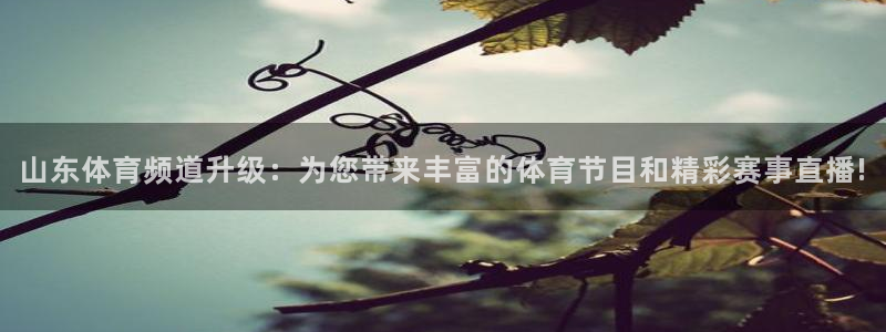 919直播间现场直播：山东体育频道升级：为您带来丰富的体育节目和精彩赛事直播!