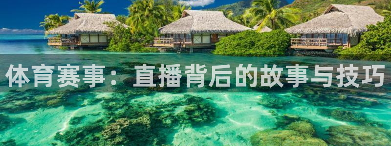 919直播体育在线直播在线看：体育赛事：直播背后的故事与技巧