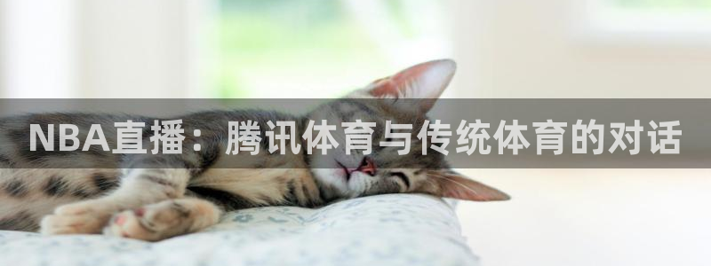 919直播吧体育：NBA直播：腾讯体育与传统体育的对话