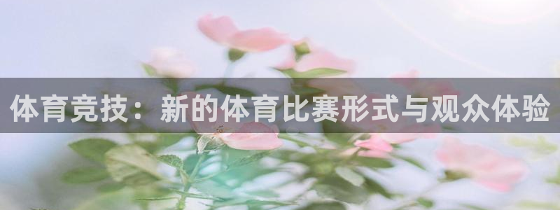 919看球直播app：体育竞技：新的体育比赛形式与观众体验