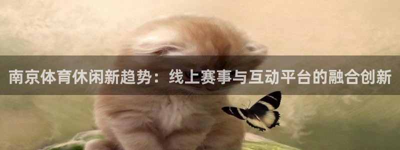 919zb体育直播：南京体育休闲新趋势：线上赛事与互动平台的融合创新