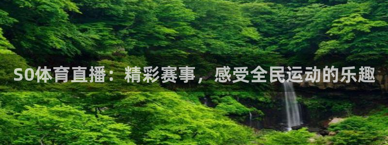 919看球直播nba：S0体育直播：精彩赛事，感受全民运动的乐趣