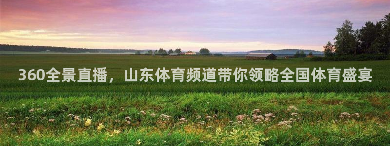 919看球直播官网入口：360全景直播，山东体育频道带你领略全国体育盛宴